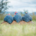 Wildcrete Guinea Fowl Trio
